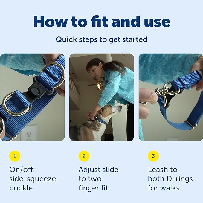 PetSafe KeepSafe Collar for Dogs - Protects Against Collar Accidents - Long Lasting - Durable - Adjustable - Breakaway - Outdoor-Safe - Small - 3/4 In. Wide - Blue