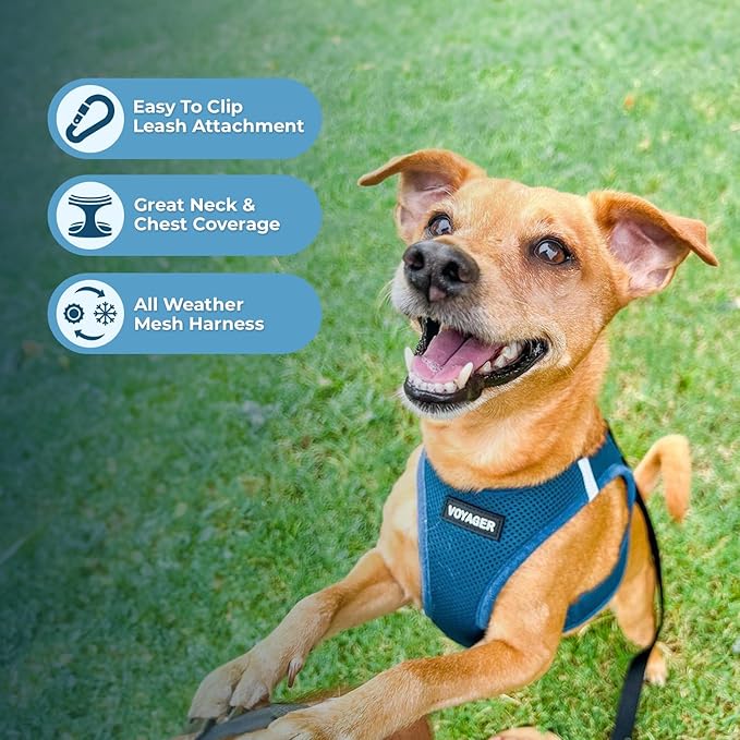 Best Pet Supplies Voyager Step-in Air All Weather Mesh Harness and Reflective Dog 5 ft Leash Combo with Neoprene Handle, for Small, Medium and Large Breed Puppies - Set (Turquoise), XXS