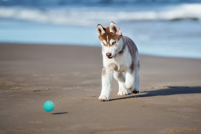 Snug Rubber Dog Balls for Small and Medium Dogs - Tennis Ball Size - Virtually Indestructible (3 Pack - Cool)
