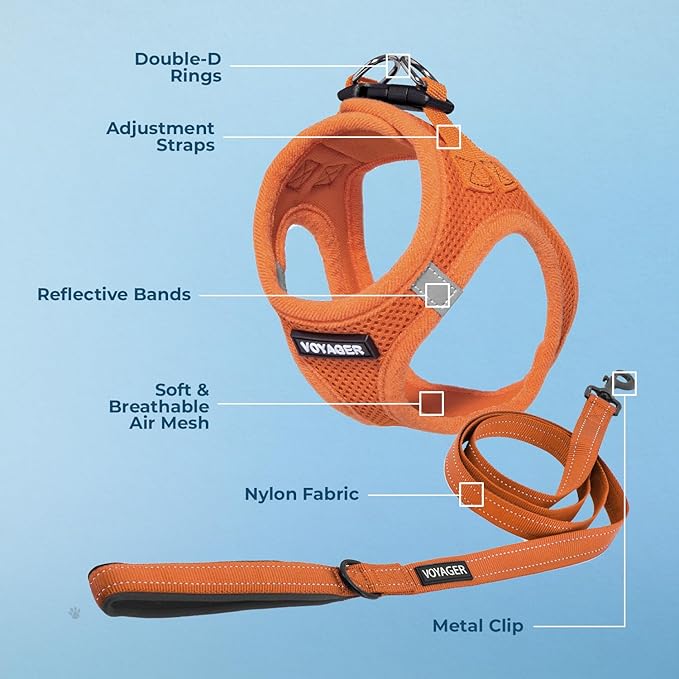 Best Pet Supplies Voyager Step-in Air All Weather Mesh Harness and Reflective Dog 5 ft Leash Combo with Neoprene Handle, for Small, Medium and Large Breed Puppies - Harness Leash Set (Orange), XXS