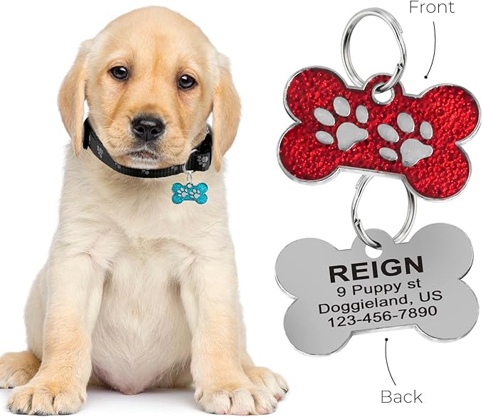 Personalized Dog/Cat Cute Paw Pet ID Tag for Pet Collar or Key Chain - cat Name tag, Personalized cat id tag, Kitten Name tag, Kitten id tag (Bone-Shaped-Small: Purple)