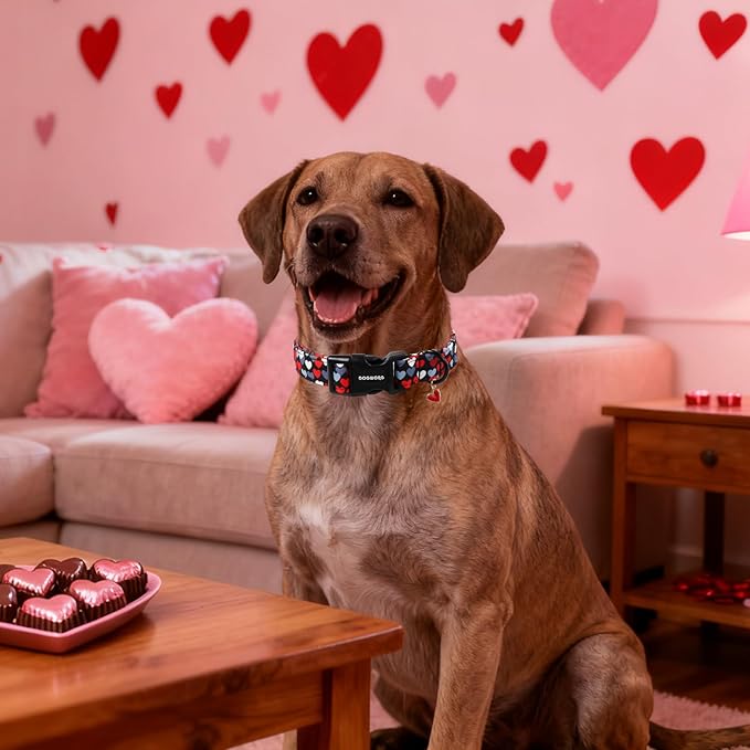 DOGWONG Red Heart Dog Collar, Cute Valentine Collar, Valentine's Day Dog Collar with Strong Plastic Buckle for Small Medium Large Dogs,M