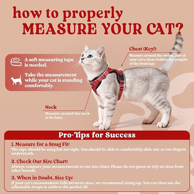 rabbitgoo Cat Harness and Leash for Walking, Escape Proof Soft Adjustable Vest Harnesses for Cats, Easy Control Breathable Reflective Strips Jacket, Red, M