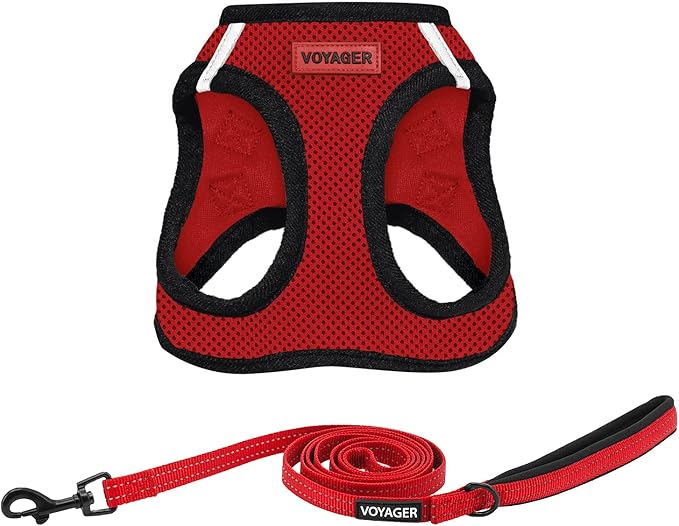 Best Pet Supplies Voyager Step-in Air All Weather Mesh Harness and Reflective Dog 5 ft Leash Combo with Neoprene Handle, for Small, Medium and Large Breed Puppies - Red/Black Trim, XX-Small