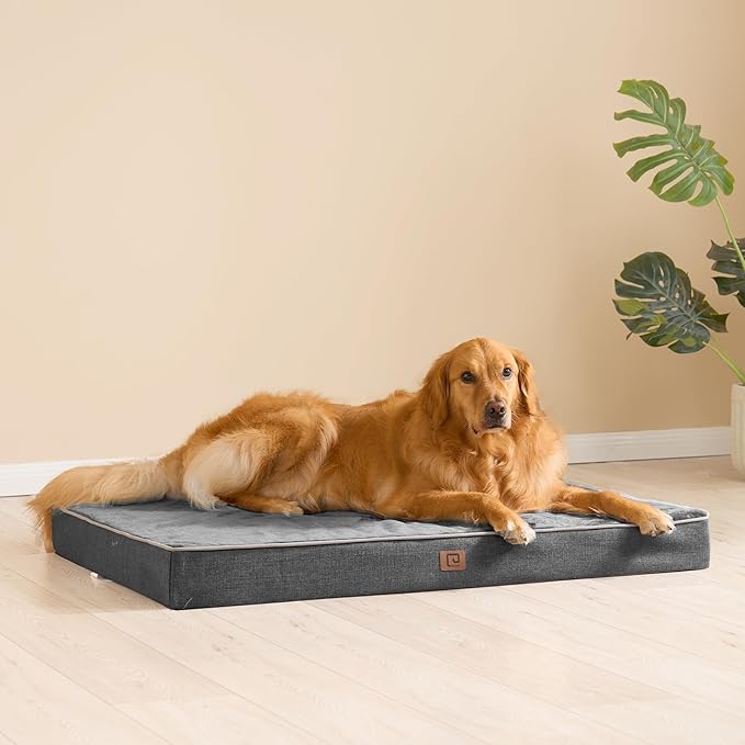 EHEYCIGA Waterproof Dog Bed Orthopedic 47"x29", Memory Foam Pet Bed for XXLarge Dog Bed, Washable Pet Mat with Removable Cover, Dark Grey