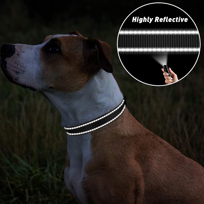 TagME Reflective Nylon Dog Collars, Adjustable Classic Pet Collar with Quick Release Buckle for Small Dogs, Black, 5/8" Width