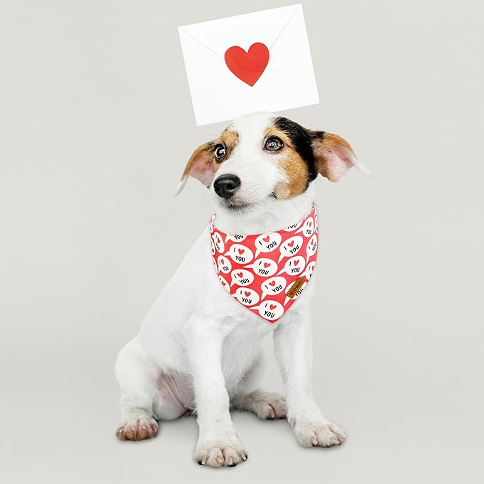 Valentines Dog Bandanas with Snap Button - 2 Pack Reversible Heart Dog Scarf for Boy & Girl, Premium Durable Fabric, Pet Bandana for Medium and Large Dogs (Large)