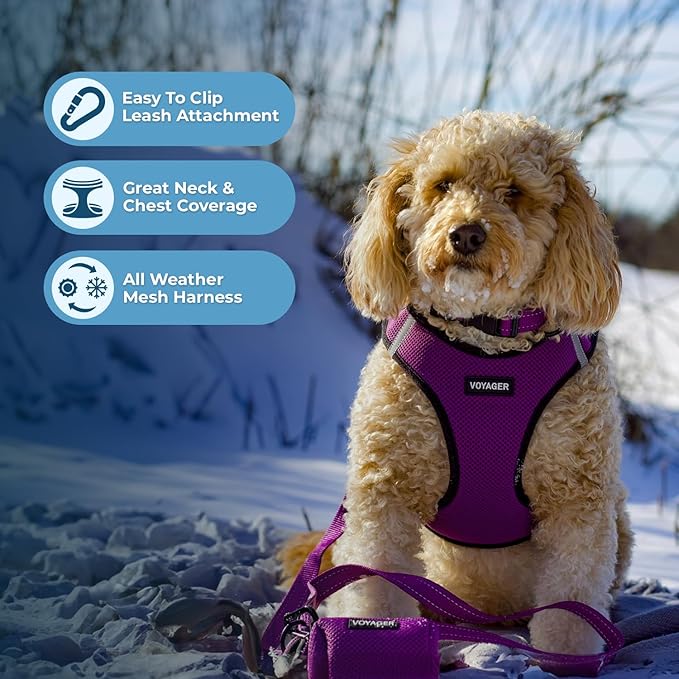 Best Pet Supplies Voyager Step-in Air Harness - All Weather Mesh, Reflective, No Pull Harness for Dogs, Cats - Secure with Hook & Loop Fastener, Buckle, Double D-Rings - Purple/Black Trim, XS
