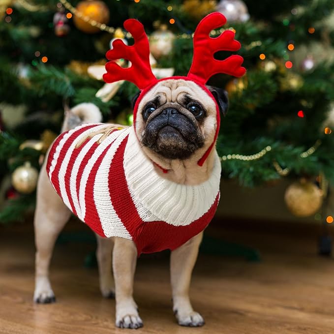 Dog Christmas Sweater Xmas Pet Clothes Cute Striped Gingerbread Man Costume Holiday Puppy Cat Jumpers Outfits New Year Gifts for Small Medium Large Dogs(Red Gingerbread Man,S)