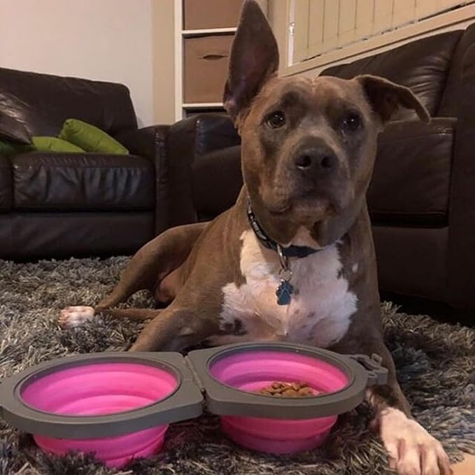 Loving Pets - Bella Roma Double Diner Portable Travel Dog Bowls Collapsible Combined Dog Food & Water Bowls (Pink, Medium)
