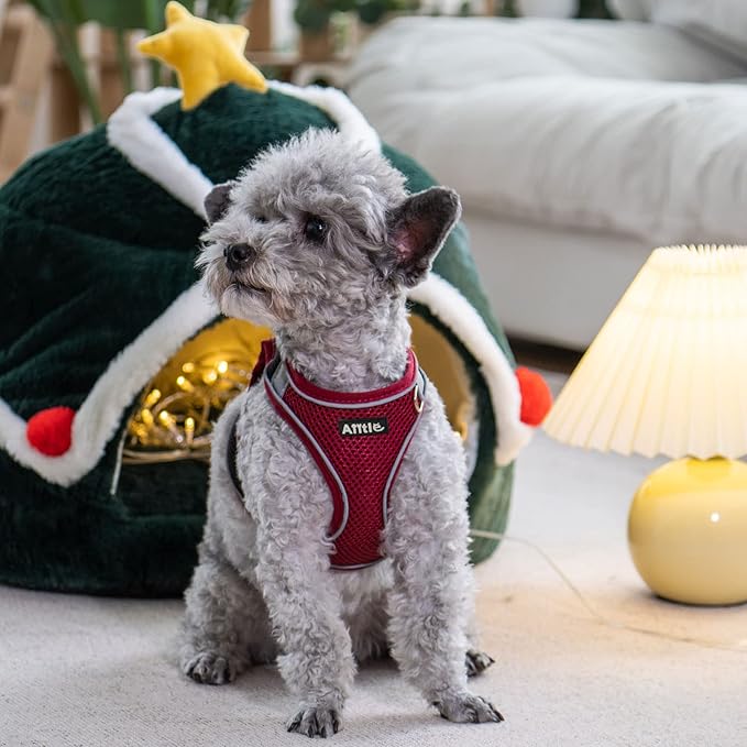 AIITLE Small Harness for Puppy with A Leash - Christmas Dog Vest Harness with Super Breathable Mesh, Reflective No-Pull Pet Harness for Outdoor Walking, Running for Small Dogs, Cats Burgundy XXS