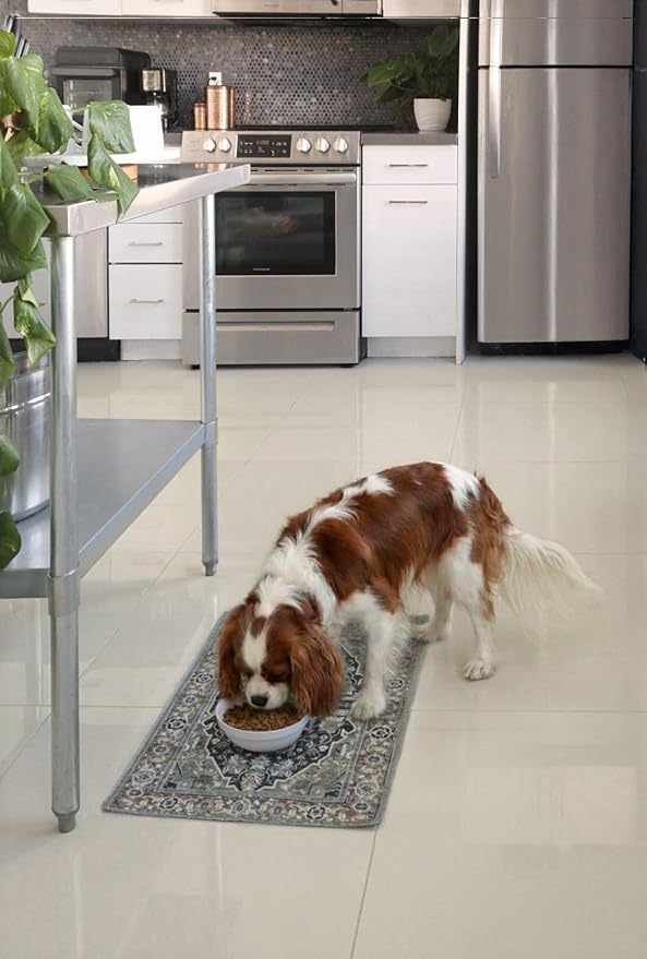 LOVEWAG Waterproof 2-Pack Pet Feeding Mats - 16" x 24" Premium Cat & Dog Food Mat - Non-Slip, Machine Washable Food Mat Protects Floors & Contains Water Bowl Spills - Place Mats (Rustic Terracotta)
