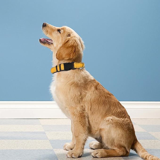 Reflective Dog Collar, Adjustable Soft Neoprene Padded Nylon Pet Collars with Buckle for Extra Large Dogs, Yellow,XL