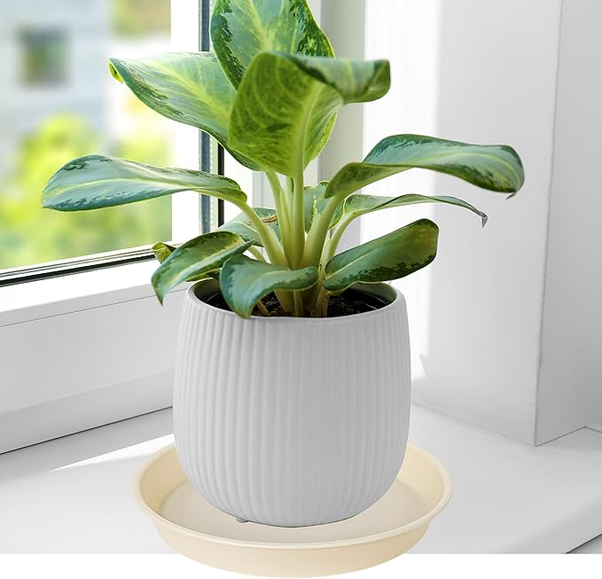 6 Pack of 7 inch Plant Saucer Clear, Heavy Duty Plastic Plant Water Tray 7 inch Round, Flower Plant Saucers for Indoors No Holes, Plant Dishes Saucer for Planter 7"/8" (7", Beige)