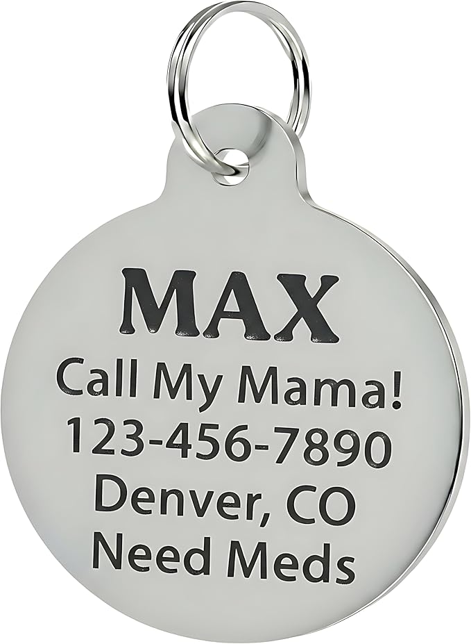 Bad Tags Personalized Dog and Cat ID Tags in 25+ Designs and 2 Sizes - 5 Lines of Custom Engraved Text - Funny Cute Personalized Pet Tags (Invader of Personal Space - Blue, Small (1 inch))