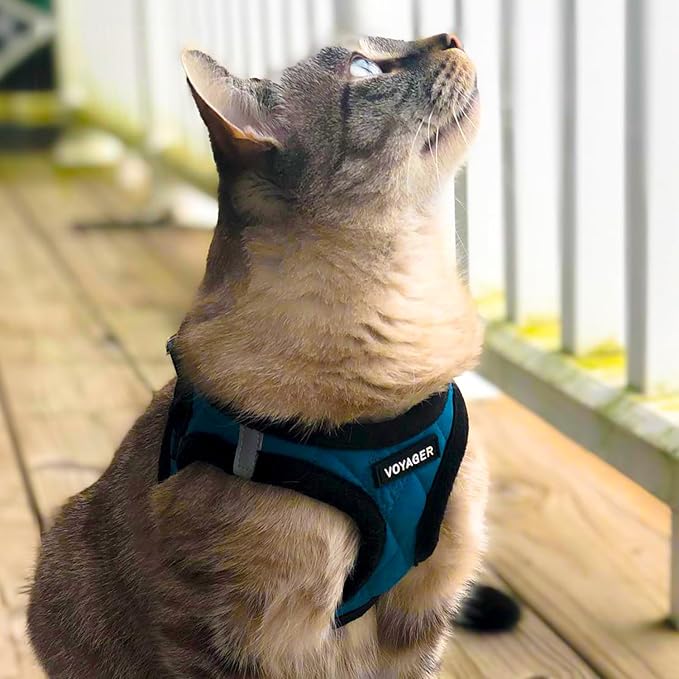 Best Pet Supplies - All Weather Plush, Reflective, No Pull Harness for Small, Medium Dogs, Cats - Secure with Hook & Loop Fastener, Buckle, Double D-Rings - Turquoise Plush, L