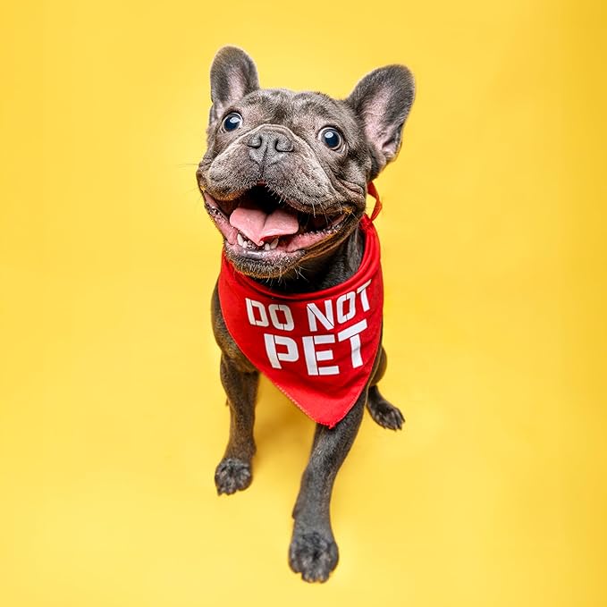 Do Not Pet Dog Bandana (Red OS 157) GB