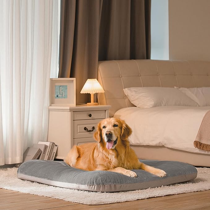 Dog Bed for 150 Pounds Dogs, Super Comfy Large Bed, 47 Inches Orthopedic Sleeping Mattress for XL Dogs, Jumbo Size with Anti Slip Bottom, with Removable and Washable Cover