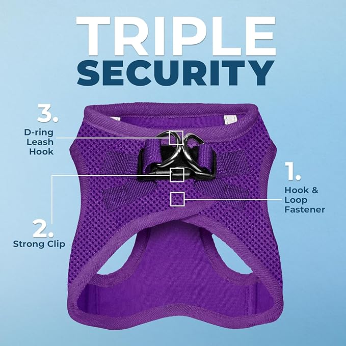 Best Pet Supplies Voyager Step-in Air All Weather Mesh Harness and Reflective Dog 5 ft Leash Combo with Neoprene Handle, for Small, Medium and Large Breed Puppies - Set (Purple), S