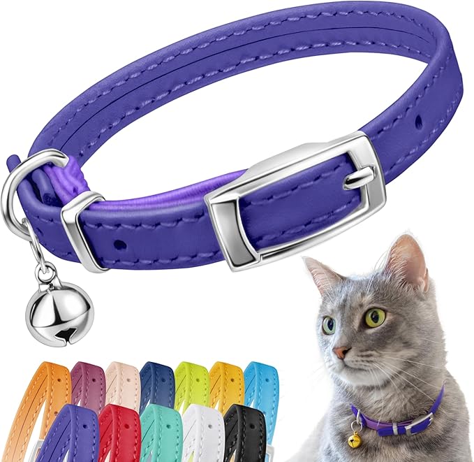 CollarDirect Leather Cat Collar, Kitten Collar with Removable Bell Black Blue Red Orange Lime Green (8-11 Inch, Purple)