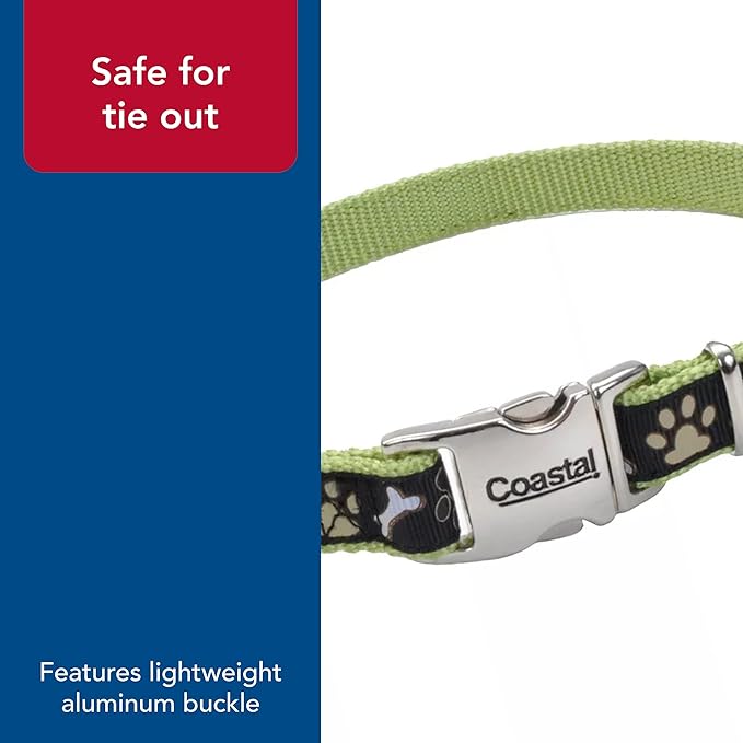 Coastal Pet - Ribbon - Adjustable Dog Collar with Metal Buckle, Red with Paws, 5/8" x 12"-18"