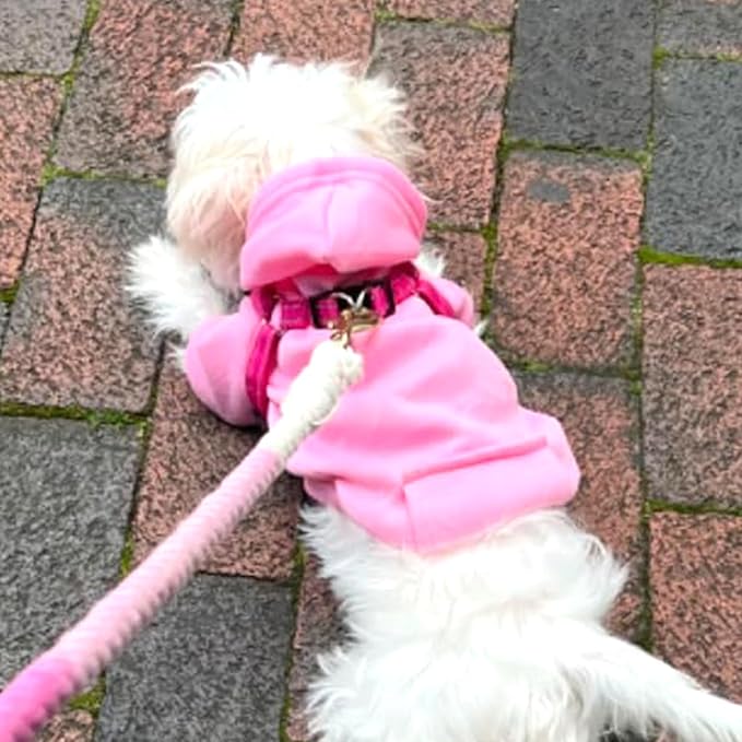 Jecikelon Winter Dog Hoodie Sweatshirts with Pockets Warm Dog Clothes for Small Dogs Chihuahua Coat Clothing Puppy Cat Custume (Pink, X-Small)