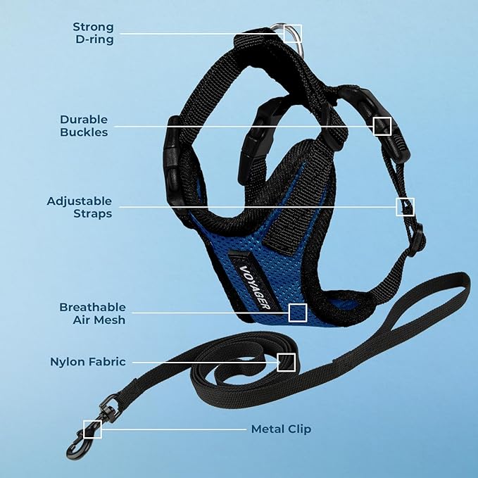 Voyager Escape-Proof Step-in Lock Cat Harness & 5ft Neoprene-Handle Leash Set All-Weather Mesh with Reflective Stitching for Small to Large Cats by Best Pet Supplies, Royal Blue/Black Trim, XXXS