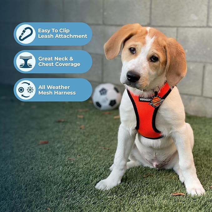 Best Pet Supplies Voyager Step-in Air All Weather Mesh Harness and Reflective Dog 5 ft Leash Combo with Neoprene Handle, for Small, Medium and Large Breed Puppies - Orange/Black Trim, X-Small