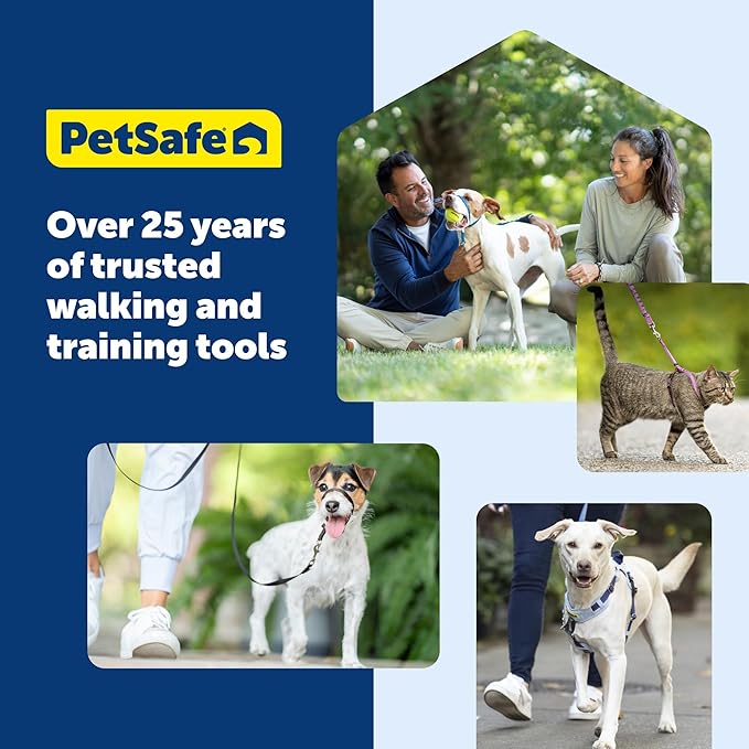 PetSafe KeepSafe Collar for Dogs - Protects Against Collar Accidents - Long Lasting - Durable - Adjustable - Breakaway - Outdoor-Safe - Large - 1 In. Wide - Blue