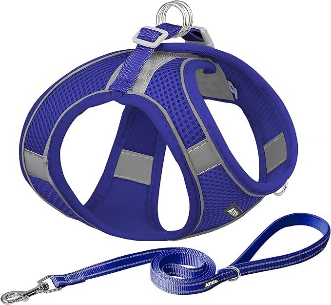 AIITLE Dog Harness, No-Pull Cat Harness with a Leash, Adjustable Reflective Dog Vest, Cat Harness Escape Proof, Outdoor Walking, Running,Training for Extra Small Dogs and House Cats Royal Blue XXXS