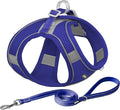 AIITLE Escape Proof Dog Harness - Step in Adjustable Dog Harness No Choke Over with Breathable Mesh and Quick-Release Buckle for All Weather- Outdoor Walking, Training for Medium Dogs Royal Blue XL