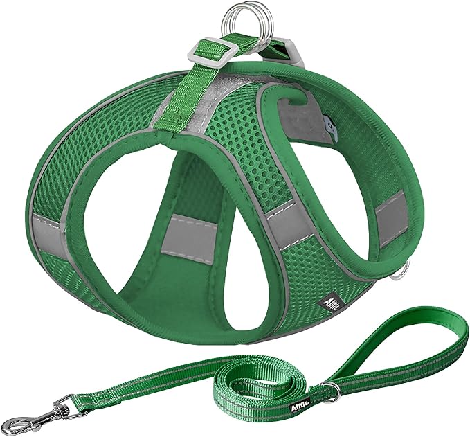 AIITLE Small Harness for Puppy with A Leash - Dog Vest Harness with Super Breathable Mesh, Reflective No-Pull Pet Harness for Outdoor Walking, Running for Small Dogs, Cats Green XXS