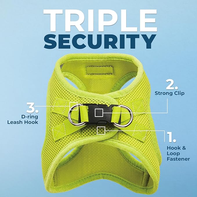 Best Pet Supplies Voyager Step-in Air All Weather Mesh Harness and Reflective Dog 5 ft Leash Combo with Neoprene Handle, for Small, Medium and Large Breed Puppies - Set (Lime Green), XL