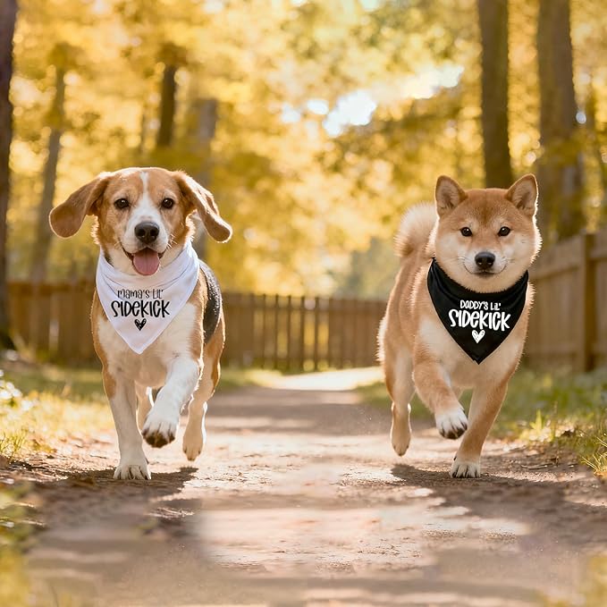 2 Pack Dog Bandana Pregnancy Announcement, Daddy's and Mama's Lil Sidekick Gender Reveal Puppy Dog Scarf Accessories, Adjustable Pet Bandana Scarf for Small Medium Large Dogs