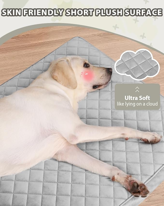 Orthopedic Dog Beds for Small Dogs Waterproof with Removable Washable Cover and Non-Slip Bottom, Quilting Dog Bed for Crate, 23x17 Inch, Light Gray