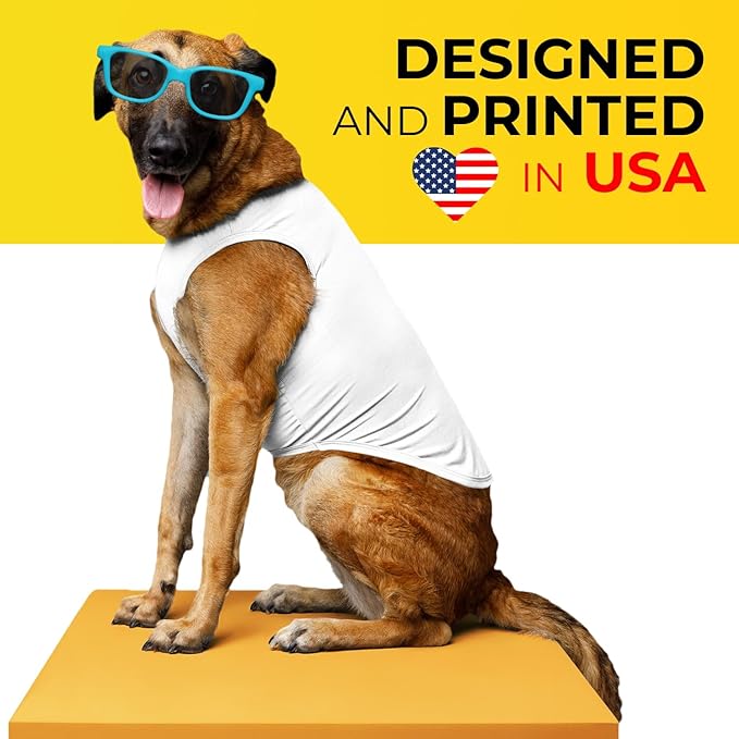 Apparelyn Custom Dog Shirt Design – Dog T-Shirt with Logo, Text or Image Print Custom t Shirt, Clothes for Dogs