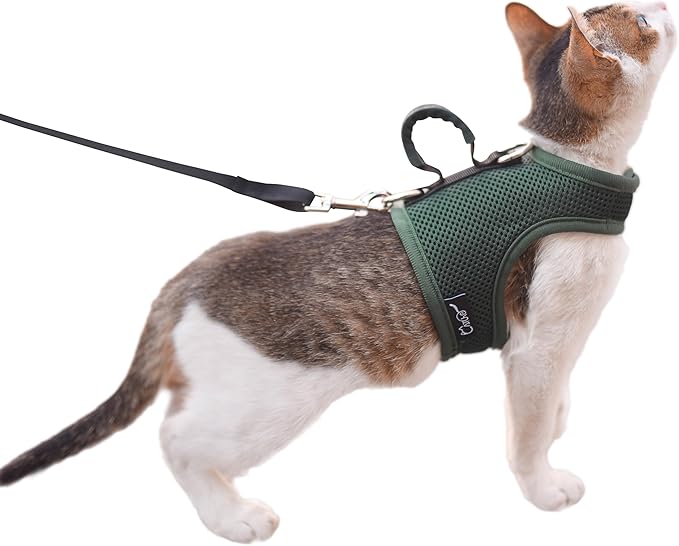 Cat Harness and Leash for Walking Escape Proof Breathable Mesh Fabric, Solid Green, Extra Large, Adjustable Cat Walking Jackets with Handle, Padded Stylish Cat Vest