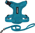 Voyager Escape-Proof Step-in Lock Cat Harness & 5ft Neoprene-Handle Leash Set All-Weather Mesh with Reflective Stitching for Small to Large Cats by Best Pet Supplies, Turquoise, XXS