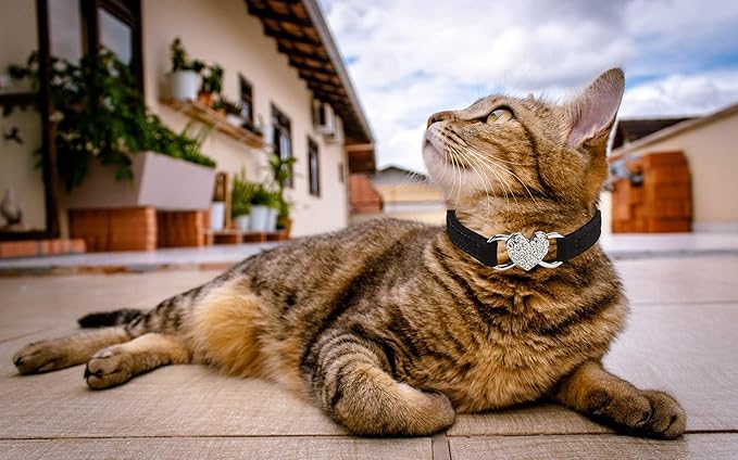 Heart Bling Cat Collar with Safety Belt and Bell Adjustable 8-10 inches for Kitten Cats (Black+Pink)