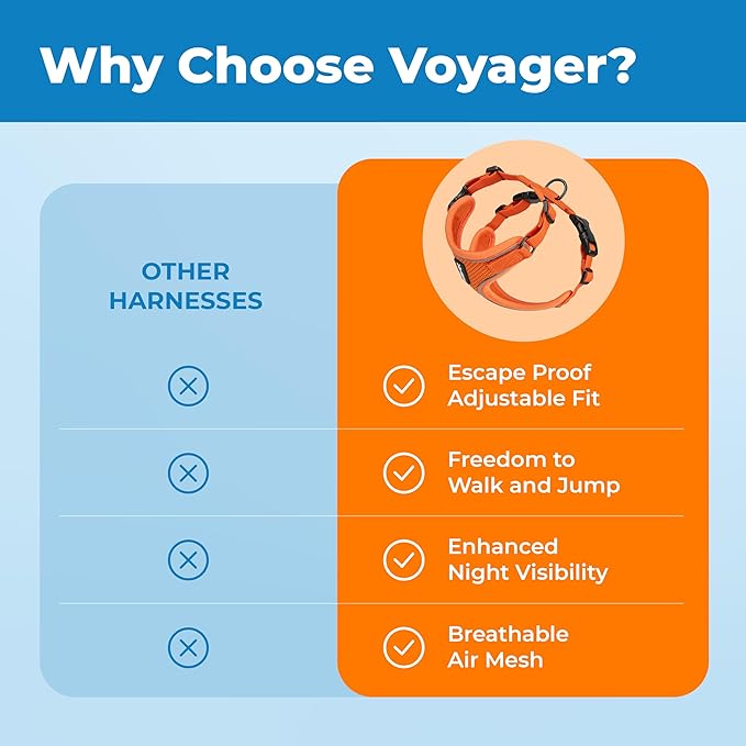 Voyager Escape-Proof Step-in Lock Cat Harness & 5ft Neoprene-Handle Leash Set All-Weather Mesh with Reflective Stitching for Small to Large Cats by Best Pet Supplies, Orange (327), XXS