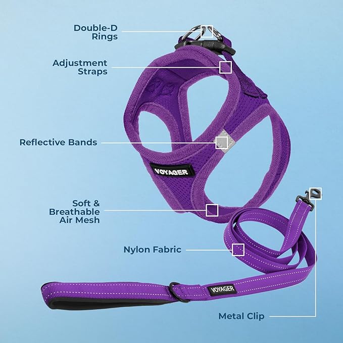 Best Pet Supplies Voyager Step-in Air All Weather Mesh Harness and Reflective Dog 5 ft Leash Combo with Neoprene Handle, for Small, Medium and Large Breed Puppies - Harness Leash Set (Purple), XXS