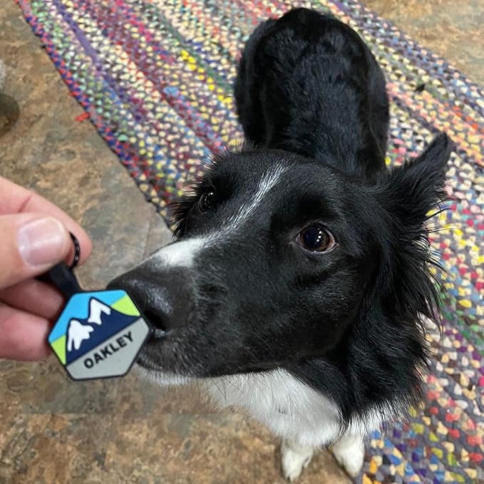 Silent Dog Tag Personalized with 5 Lines of Custom Deep Engraved Durable Soundless Silicone Pet ID Name Tag Hexagon Sunset Tiffany