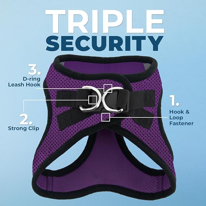 Best Pet Supplies Voyager Step-in Air Harness - All Weather Mesh, Reflective, No Pull Harness for Dogs, Cats - Secure with Hook & Loop Fastener, Buckle, Double D-Rings - Purple/Black Trim, XS