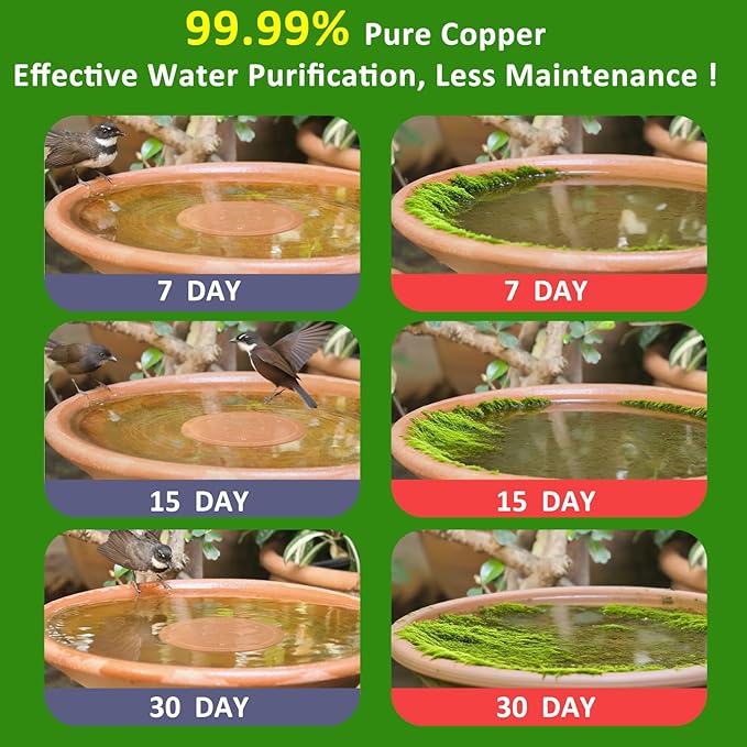 Bird Bath Copper Disk, 0.6mm Thick 99.99% Pure Copper Purification Disk with Triple-Point Support, Safe Physical Cleaning for Outdoor Birdbaths, Bowls, All-Season Universal Fit