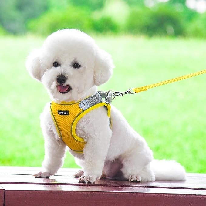 AIITLE Step in Dog Harness and Leash Set - No Pull Escape Proof Vest Harnesses with Soft Mesh and Reflective Bands, Adjustable Pet Outdoor Harnesses for Small and Medium Dogs Yellow M