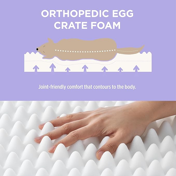 LE SURE Cute Orthopedic Dog Bed for Small Dogs, Waterproof Chic Flat Pet Beds with Removable Washable Cover, Fuzzy Thick Egg Crate Foam Pet Mat for Indoor Use (24" x 18", Cream)
