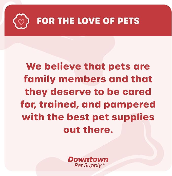 Downtown Pet Supply Step-in Dog Harness – No Pull, Adjustable Padded Mesh with Reflective Trim, Secure Buckle Strap – Comfortable & Breathable Small Dog Harness, Small, Floral