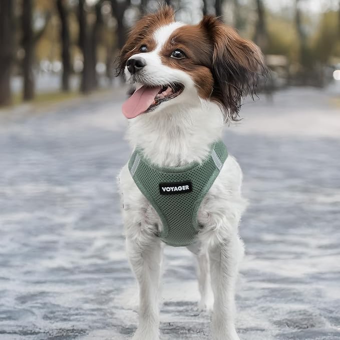 Best Pet Supplies Voyager Step-in Air Harness - All Weather Mesh, Reflective, No Pull Harness for Dogs, Cats - Secure with Hook & Loop Fastener, Buckle, Double D-Rings - Moss Green, XXS