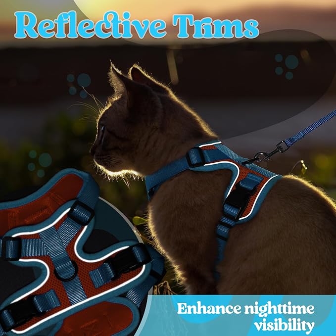 rabbitgoo Cat Harness and Leash Set, Escape Proof Soft Adjustable Vest Harnesses for Outdoor Walking, Easy Control Breathable Kitten Jacket with Reflective Strips, Orange & Light Blue, S