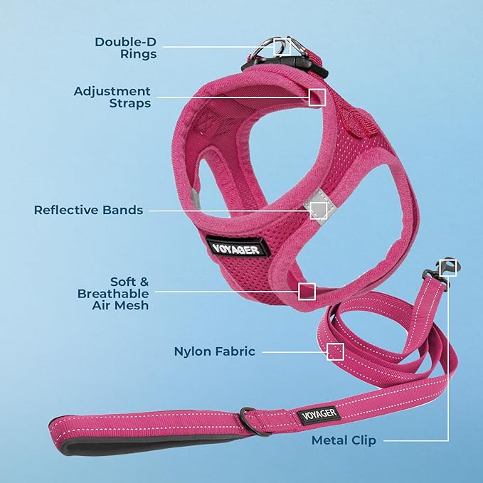 Best Pet Supplies Voyager Step-in Air All Weather Mesh Harness and Reflective Dog 5 ft Leash Combo with Neoprene Handle, for Small, Medium and Large Breed Puppies - Set (Fuchsia), XL
